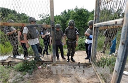 Triều Tiên phủ nhận đứng sau vụ nổ mìn ở DMZ